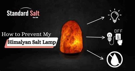 why is my salt rock leaking|How to Stop My Salt Lamp Leaking 